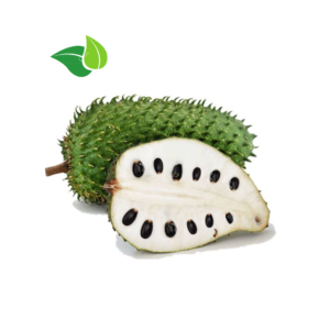 Premium Soursop (Graviola) Seedling – Live Fruit Plant